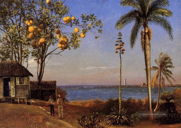 Albert Bierstadt Werke - Ein Blick auf den Bahamas Albert